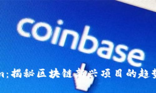Tokenim：揭秘区块链新兴项目的趋势与未来